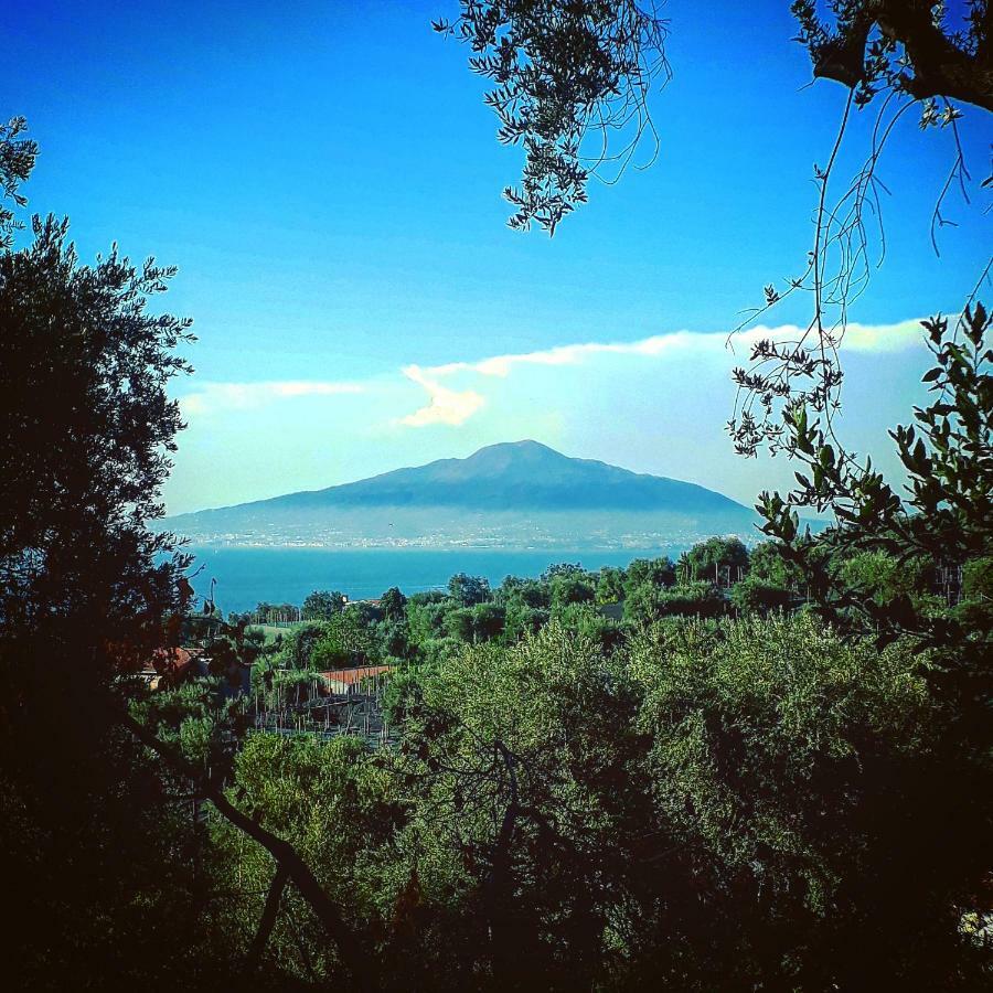 Villa Beatrice Sorrento Exterior photo